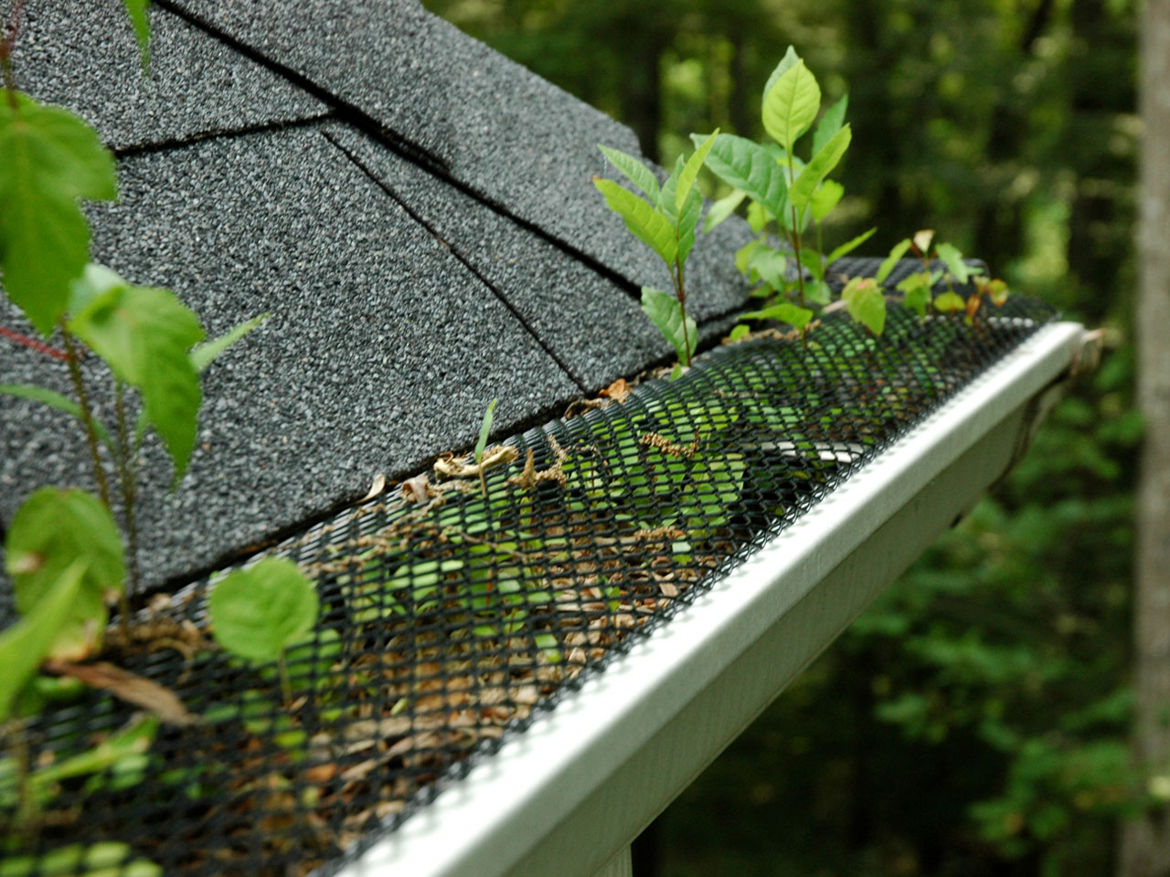 gutter guard